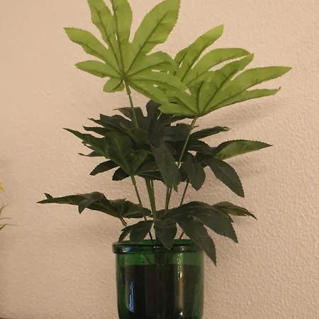 Casa Dos Leme Baião