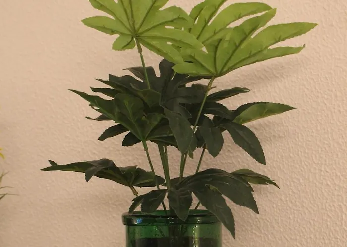 Casa Dos Leme 바이아오